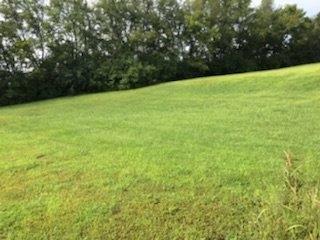  116 S Creek St, Frankfort, KY 40601 photo 7