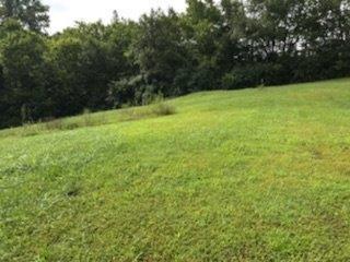  116 S Creek St, Frankfort, KY 40601 photo 6