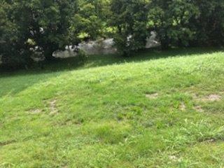  116 S Creek St, Frankfort, KY 40601 photo 3