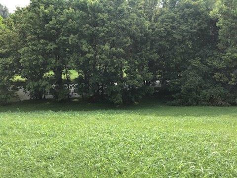  116 S Creek St, Frankfort, KY 40601 photo 12