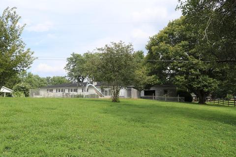 549 Riverview Rd, Stanton, KY 40380 photo 87