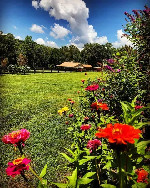 1099 Fox Run Rd, Corbin, KY 40701 photo 37