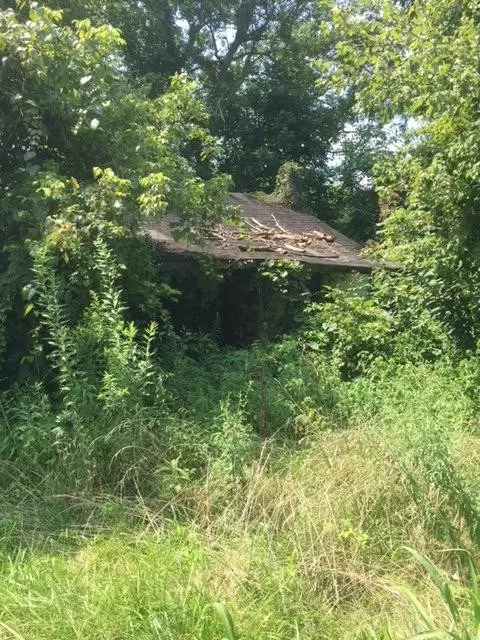 3260 Highway 830, Gray, KY 40734 photo 5