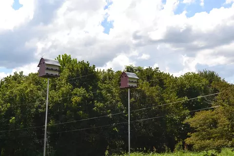 80 Taylor Rd, Flat Lick, KY 40935 photo 24