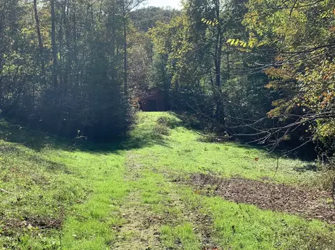 446 Higgins Branch Rd, Gray, KY 40734 photo 37