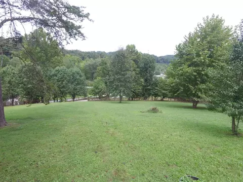 446 Higgins Branch Rd, Gray, KY 40734 photo 9