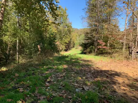 446 Higgins Branch Rd, Gray, KY 40734 photo 42