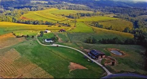 809 Mt Tabor Rd, Ewing, KY 41039 photo 1