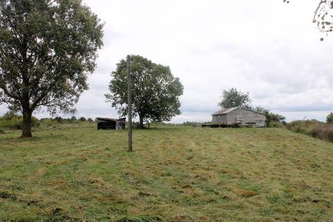 809 Mt Tabor Rd, Ewing, KY 41039 photo 7