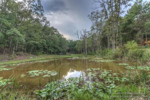 919 Cunningham Ln, Winchester, KY 40391 photo 50