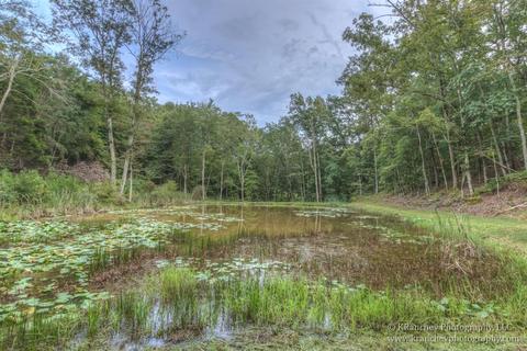 919 Cunningham Ln, Winchester, KY 40391 photo 46