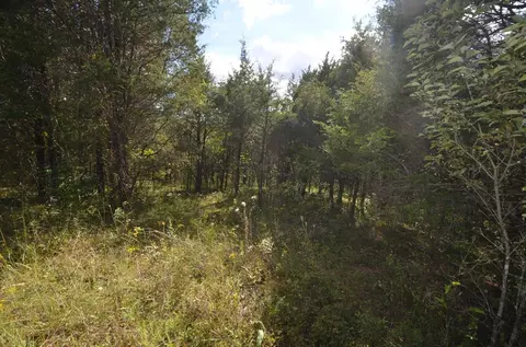 1375 Stratton Rd, Salvisa, KY 40372 photo 13