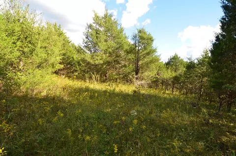 1375 Stratton Rd, Salvisa, KY 40372 photo 22