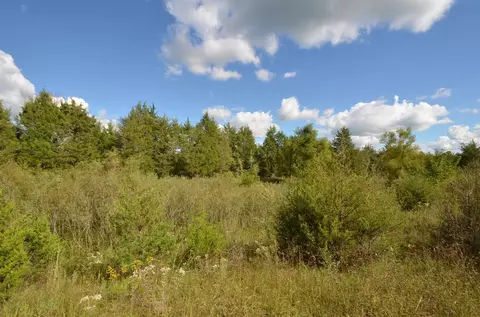 1375 Stratton Rd, Salvisa, KY 40372 photo 11
