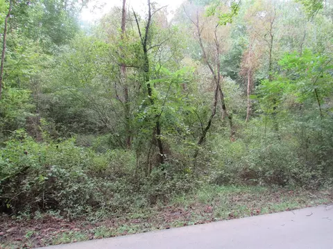 149 Rydell Rd, Corbin, KY 40701 photo 32