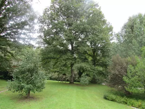 149 Rydell Rd, Corbin, KY 40701 photo 14