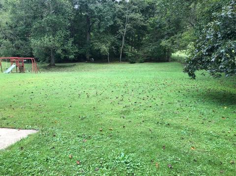 340 Rock Fork Rd, Morehead, KY 40351 photo 21