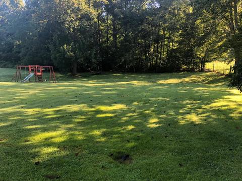 340 Rock Fork Rd, Morehead, KY 40351 photo 2