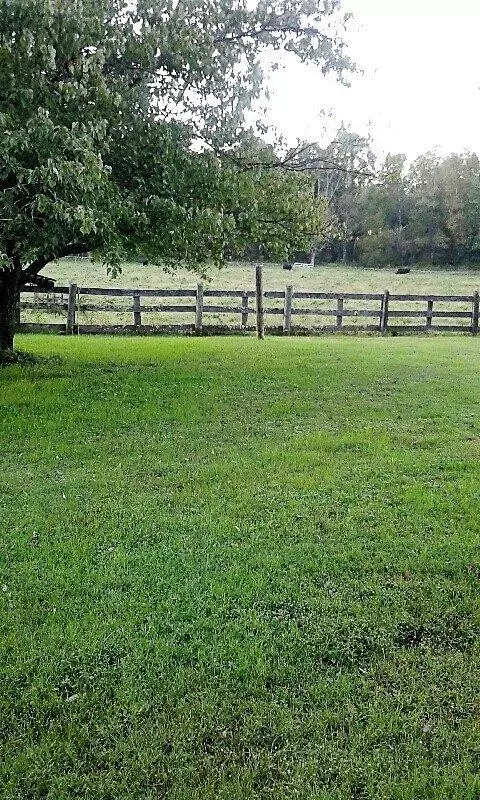 3895 Bluestone Rd, Morehead, KY 40351 photo 4