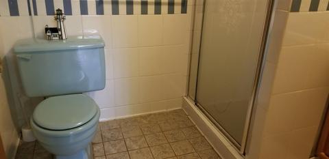 403 Meece Ave, Nancy, KY 42544 photo 32
