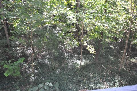 110 Crescent Dr, Berea, KY 40403 photo 16