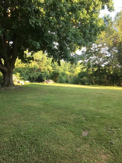 301 Texas Loop, Springfield, KY 40069 photo 8