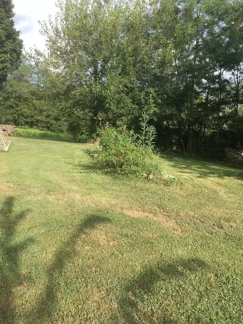 301 Texas Loop, Springfield, KY 40069 photo 4