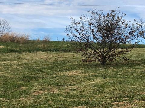 67 Snake Lick Rd, Berry, KY 41003 photo 10