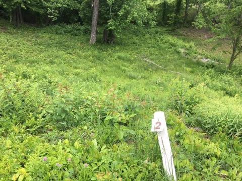 159 Lorraine Ct, Berea, KY 40403 photo 1