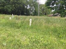 183 Lorraine Ct, Berea, KY 40403 photo 1