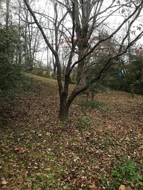 814 W Fourth St, Corbin, KY 40701 photo 17