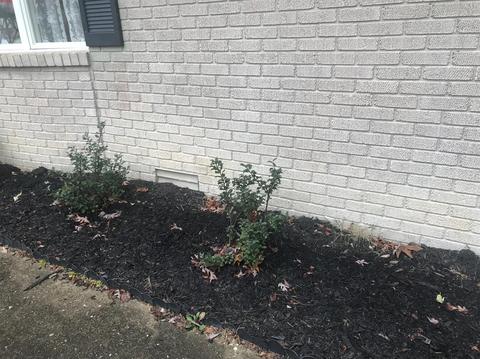 130 Trails End, Corbin, KY 40701 photo 5