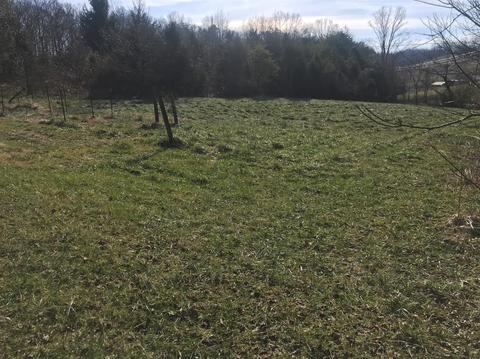 1222 Lambert Rd, Berea, KY 40403 photo 52