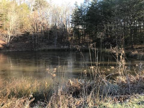 1222 Lambert Rd, Berea, KY 40403 photo 47