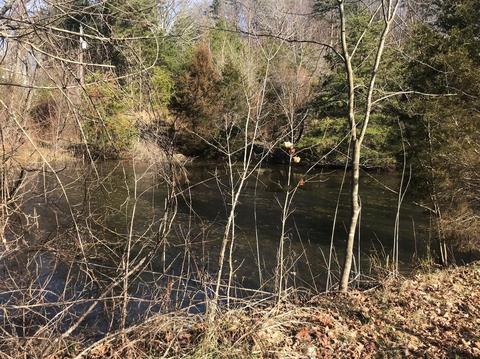 1222 Lambert Rd, Berea, KY 40403 photo 53