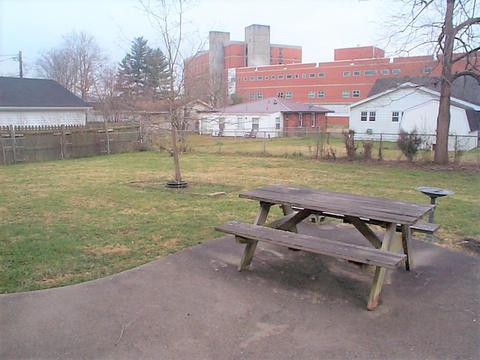 313 Knapp Ave, Morehead, KY 40351 photo 7