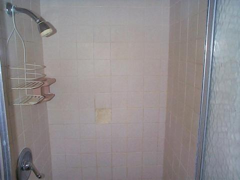 313 Knapp Ave, Morehead, KY 40351 photo 32