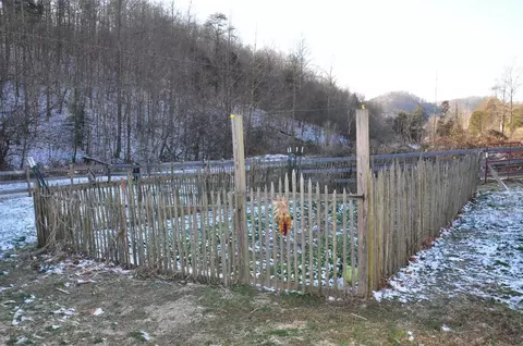 379 Beech Grove Rd, Jackson, KY 41339 photo 73