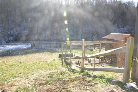 379 Beech Grove Rd, Jackson, KY 41339 photo 72