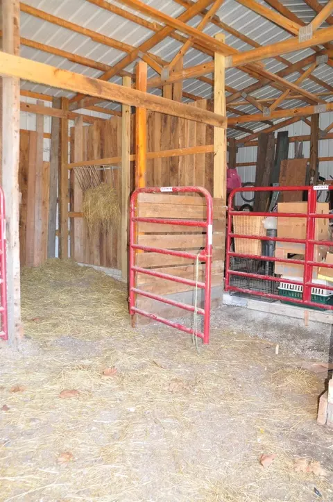379 Beech Grove Rd, Jackson, KY 41339 photo 70
