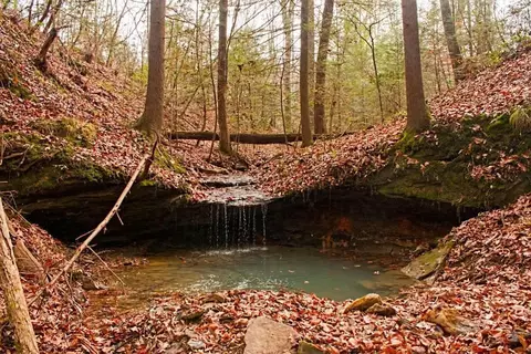 690 D Fore Rd, Williamsburg, KY 40769 photo 10