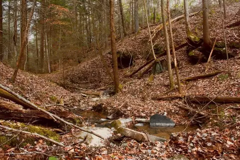 690 D Fore Rd, Williamsburg, KY 40769 photo 63