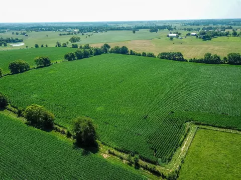 1175 Jackstown Rd, Paris, KY 40361 photo 49