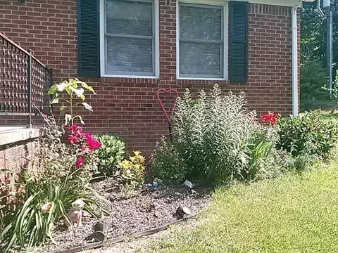 620 E Barker Ln, Berea, KY 40403 photo 16