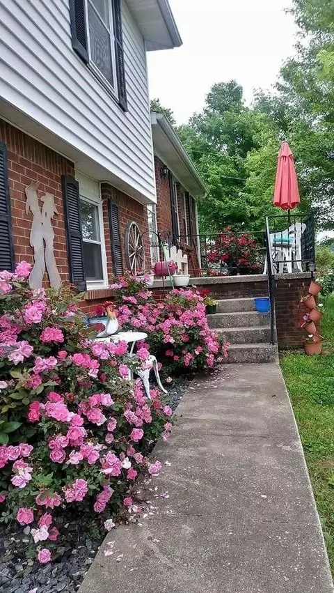 620 E Barker Ln, Berea, KY 40403 photo 15
