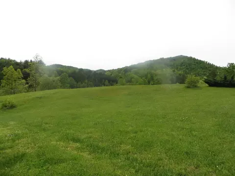 95 Mooreland Dr, Gray, KY 40734 photo 45