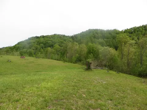 95 Mooreland Dr, Gray, KY 40734 photo 51