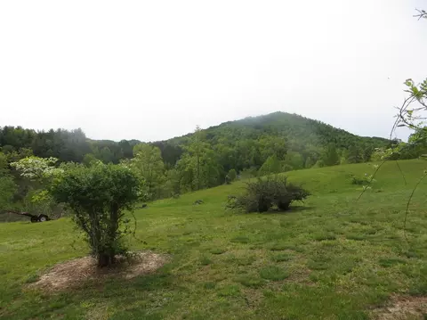 95 Mooreland Dr, Gray, KY 40734 photo 58