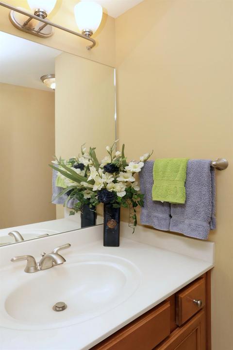 111 Shadowcreek Path, Georgetown, KY 40324 photo 34