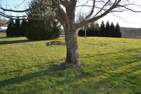3330 511 Hwy, Corbin, KY 40701 photo 10